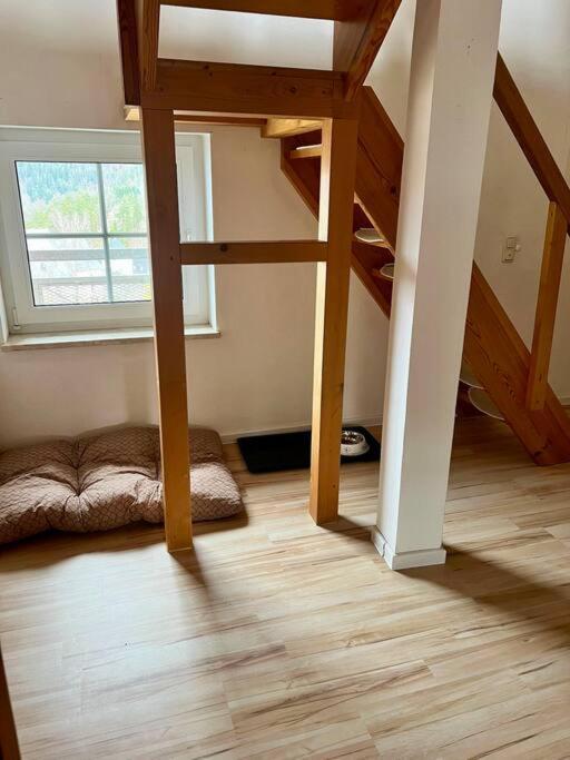 Apartment Wanderurlaub Mit Und Ohne Hund!